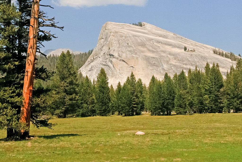 07-07 - 06.JPG - Yosemite National Park, CA
